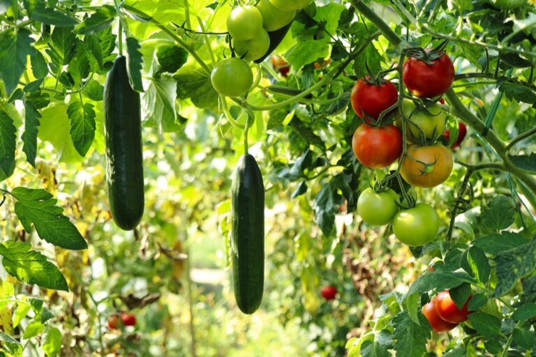 7 Best Crop Supports for Heavy Vegetables That Prevent Garden Disasters