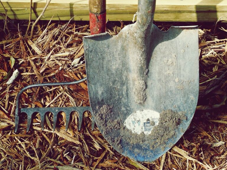 7 Best Garden Hoes for Cultivating Around Weeds Your Grandparents Swore By