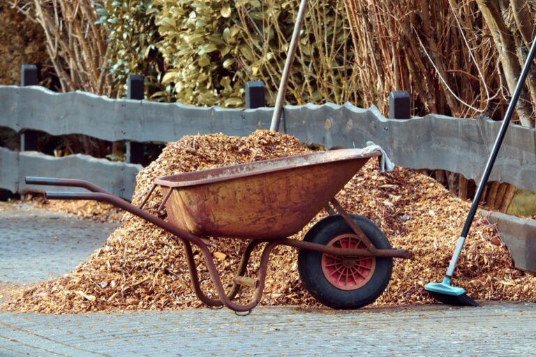 6 Best Garden Mulches for Weed Control That Gardeners Swear By