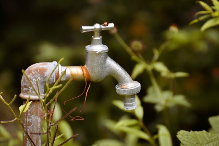 5 Best Freeze-Proof Faucets for Garden Irrigation That Prevent Winter Damage