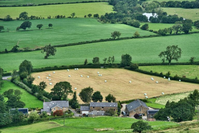 7 Best Soil Fertility Charts for Crop Planning Old Farmers Swear By