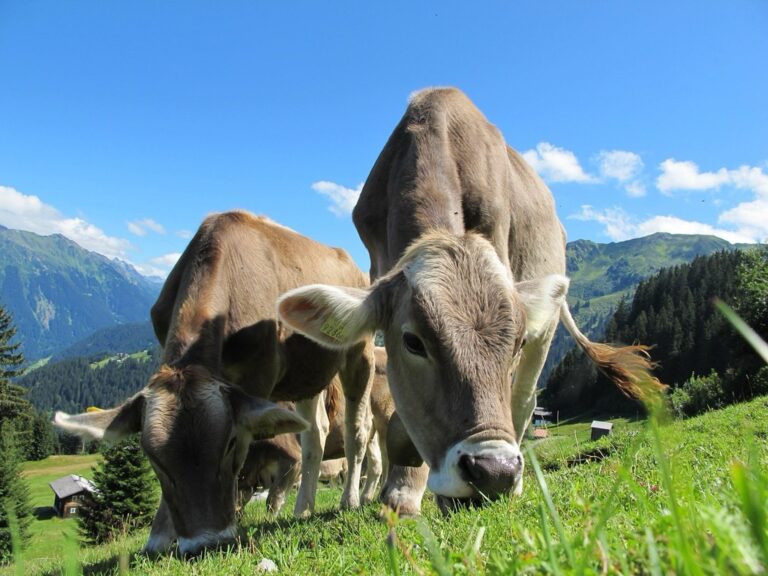 5 Best Grazing Charts for Pasture Rotation That Transform Your Land