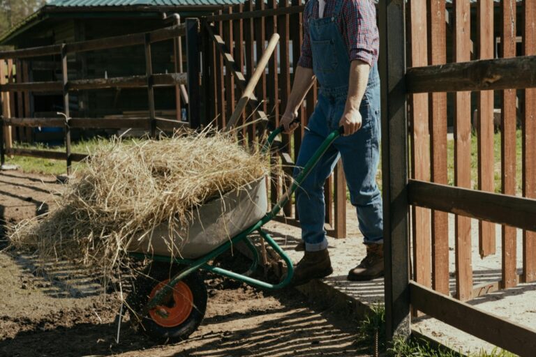 5 Best Hay Forks for Efficient Handling That Old Farmers Swear By