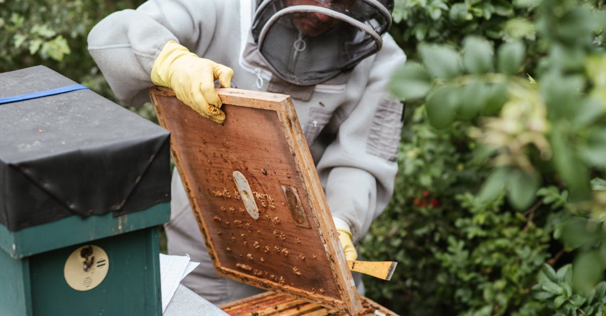 a beekeeper in protective gear inspecting a hive outdoors in a rural area 1