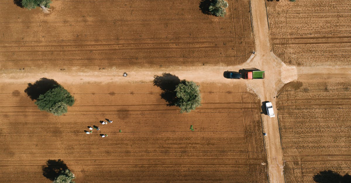 a captivating aerial view of rural countryside with fields trees and vehicles on a dirt road 1
