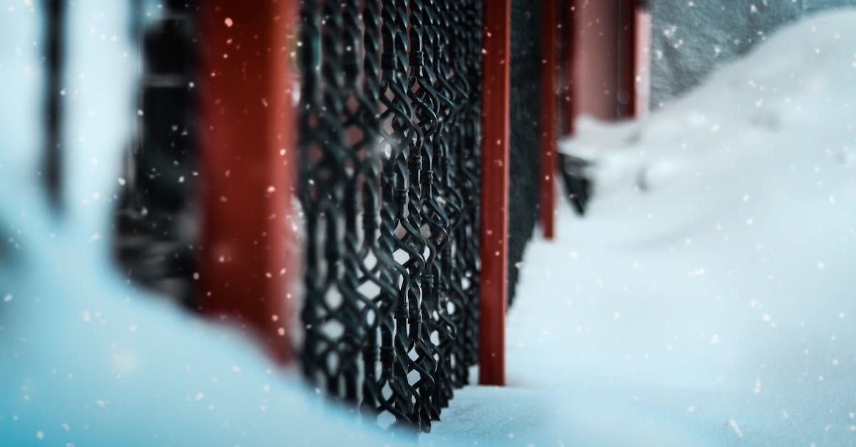 a close up of a chain link fence surrounded by snow highlighting winter essence