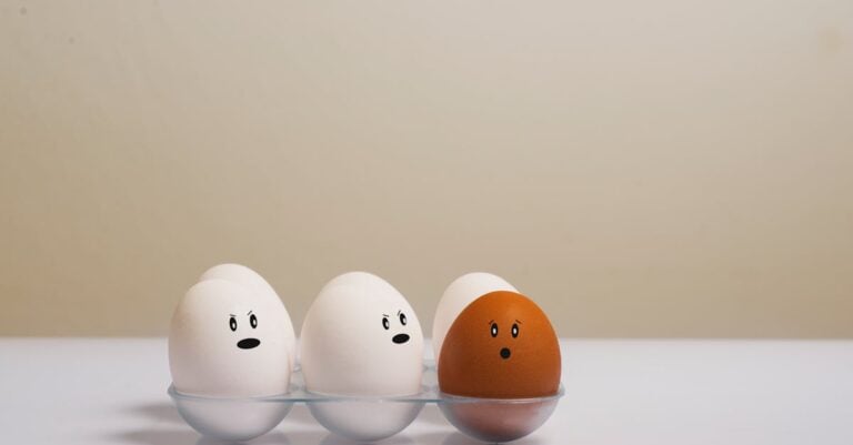 7 Egg Collection Methods That Maximize Quality & Efficiency