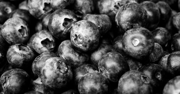 7 Creative Solutions for Powering Farm Markets That Boost Sustainability