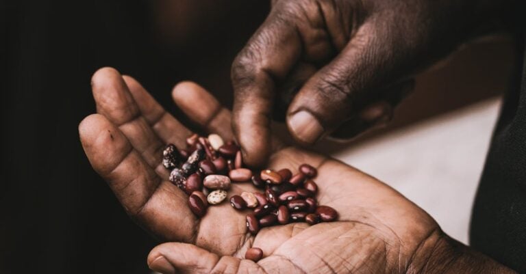 7 Benefits of Crop Diversity for Sustainable Farming That Regenerate Land