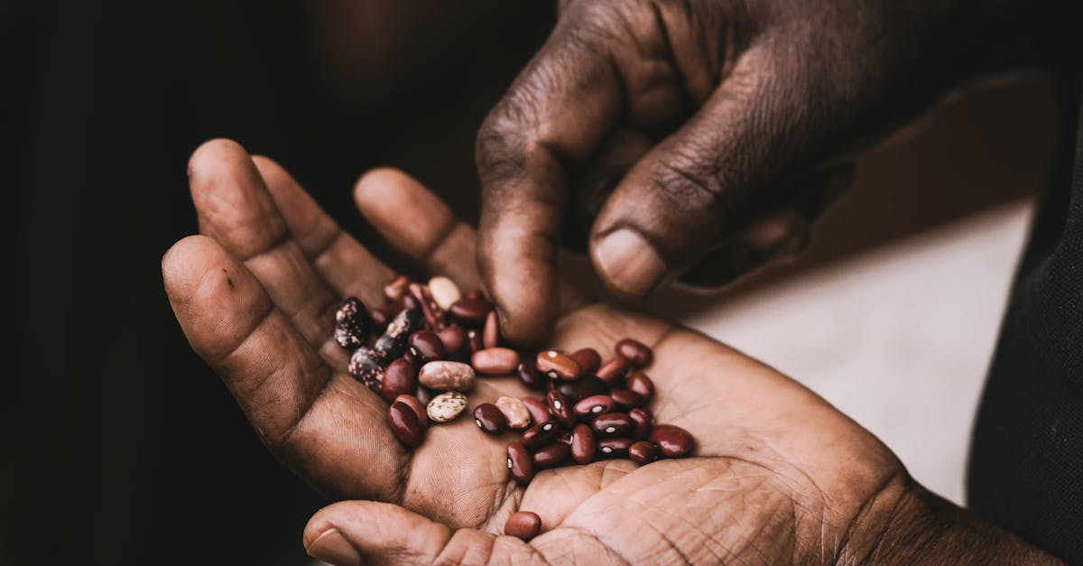 a detailed close up of hands holding a variety of colorful beans highlighting texture and diversity 6
