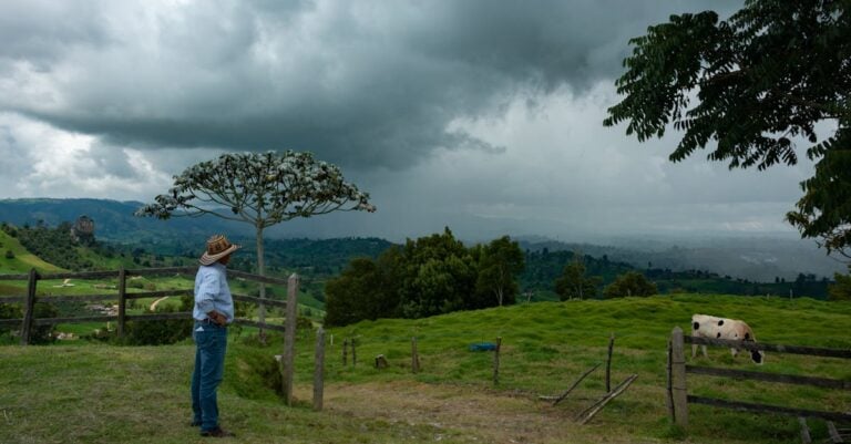 7 Tips for Managing Livestock During Severe Storms That Old-Timers Trust