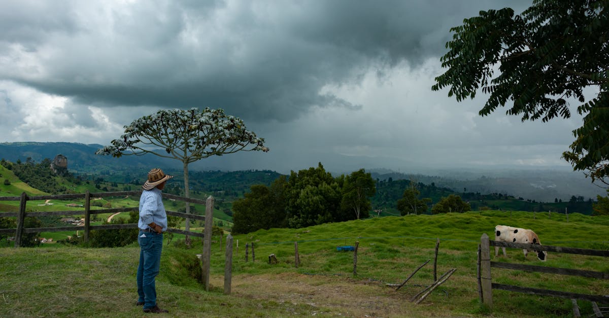 a farmer stands overlooking a lush green pasture with grazing cattle under a cloudy sky