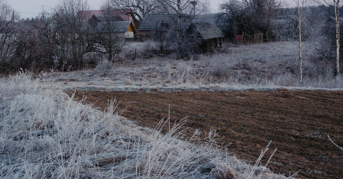 a frosty rural scene showcasing leafless trees and rustic houses in winter 1