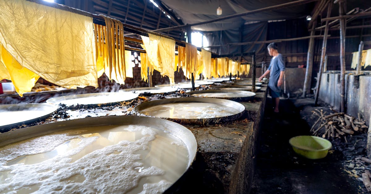 a glimpse of traditional rice paper production inside a vietnamese workshop