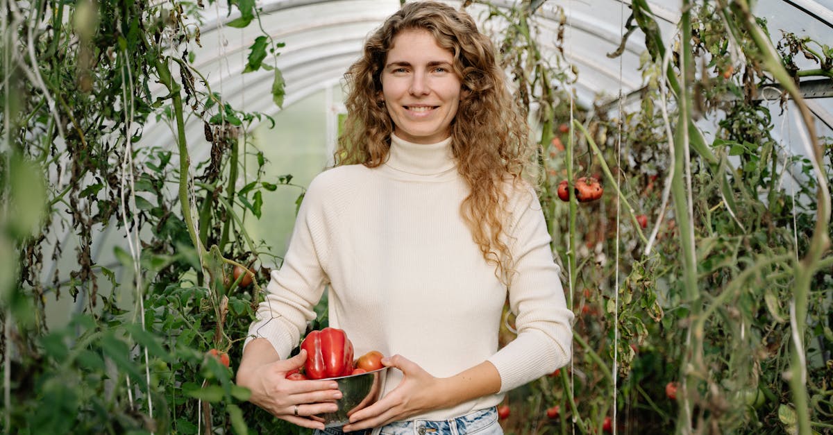 a happy woman in a greenhouse holding freshly harvested organic red bell peppers 2