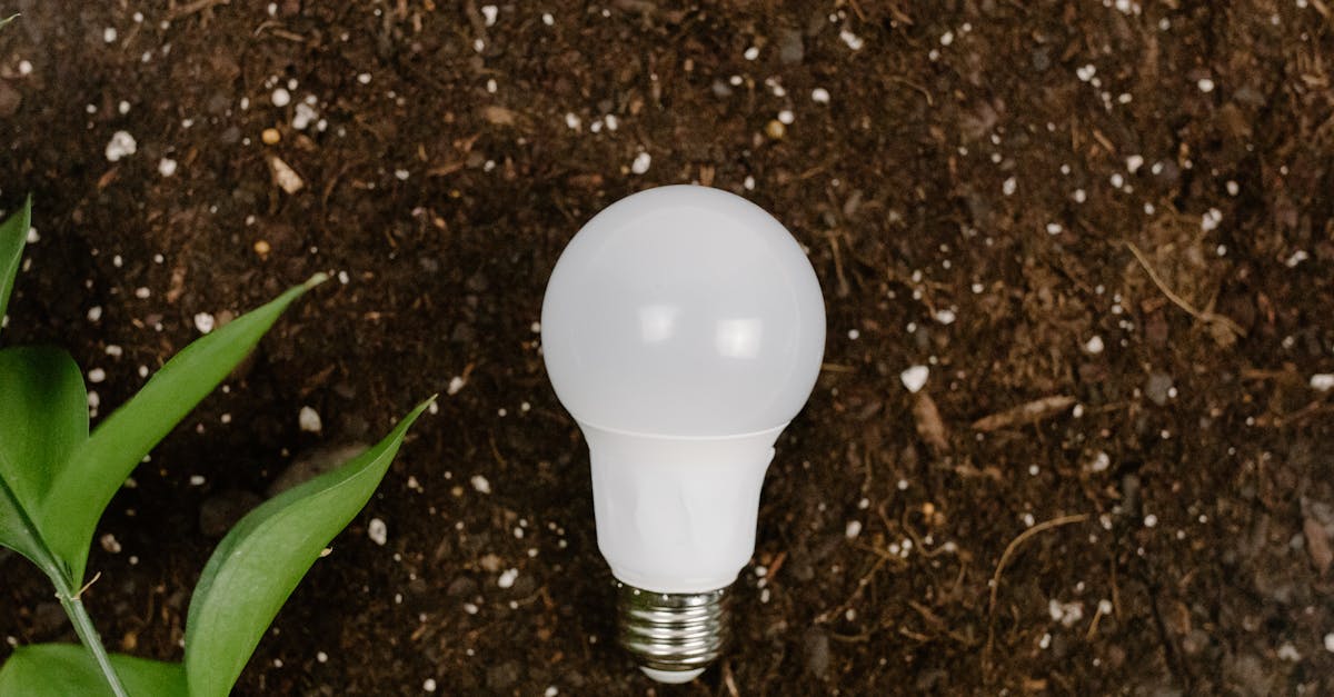 a light bulb on earthy soil with green leaves symbolizing sustainability and eco friendliness