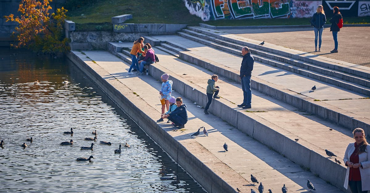 a lively scene of people feeding ducks by the waterfront on a sunny day captured from above