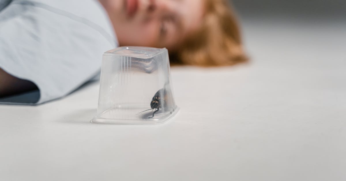 a madagascar hissing cockroach trapped under a plastic cup with a blurred human figure in the backgr