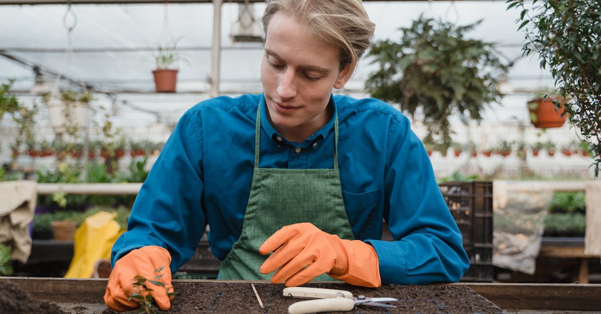 a man in a greenhouse carefully planting seedlings fostering organic growth 1