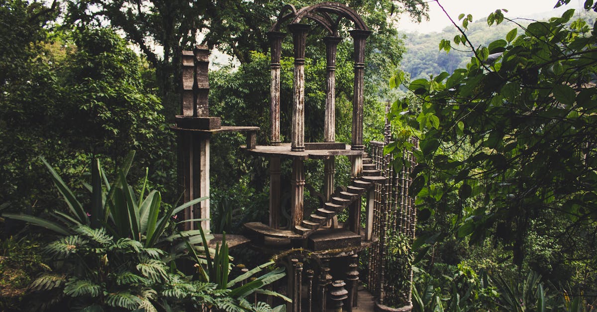 a mysterious stone structure surrounded by lush greenery in a tropical jungle