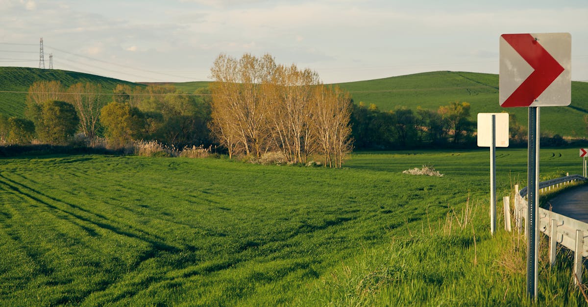 a peaceful countryside road curves through lush green fields and trees framed by a clear sky