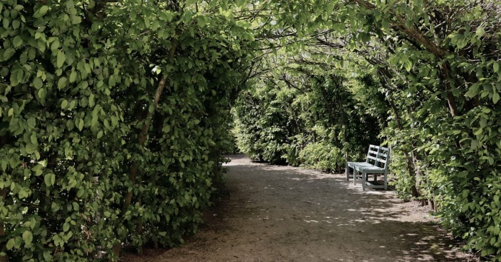 a peaceful garden path in morschen germany framed by lush greenery and a wooden bench
