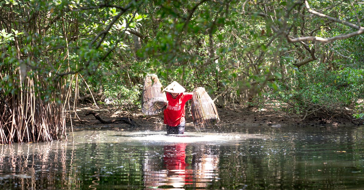 a person wades through a forest stream carrying bamboo fish traps wearing a conical hat