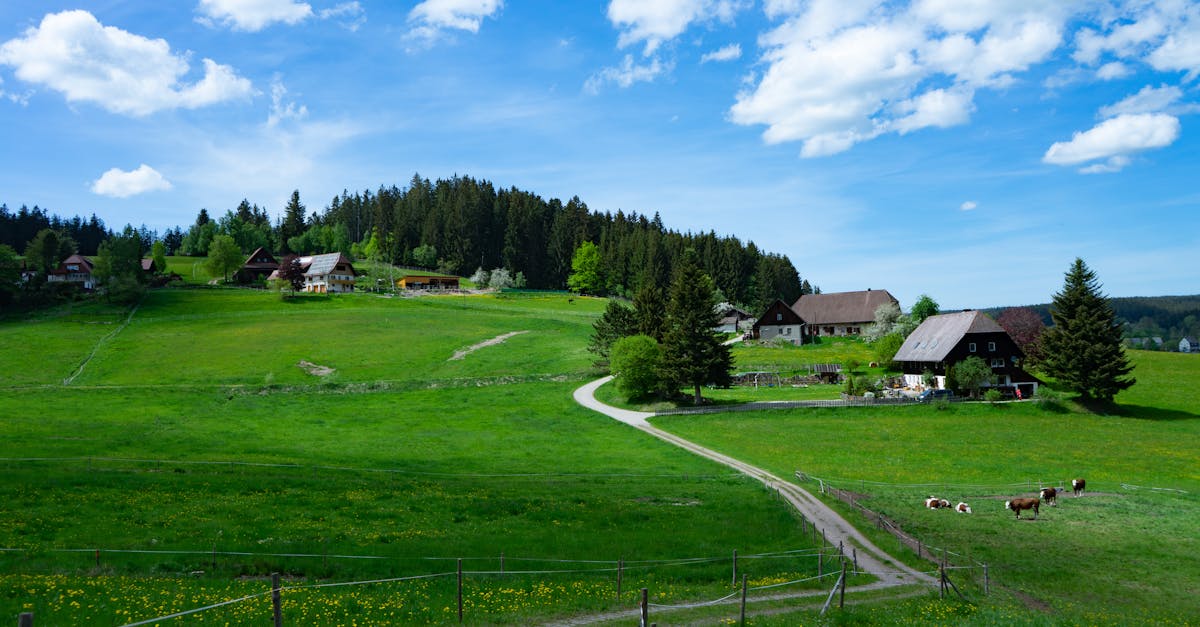a picturesque rural farm scene with barns fields and grazing cattle under a bright blue sky 2
