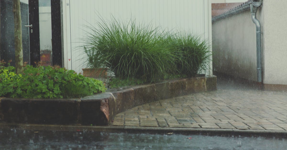 a rainy day in a residential courtyard with lush greenery and stone pavement 1