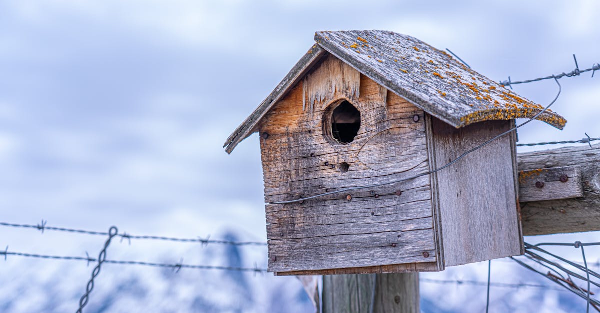 a rustic wooden birdhouse on a barbed wire fence with snowy mountains in the background