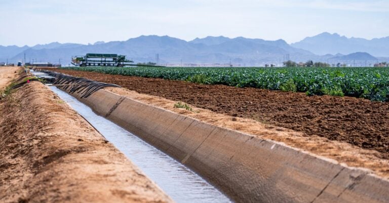 7 Ways to Manage Irrigation in Drought Conditions That Save Every Drop