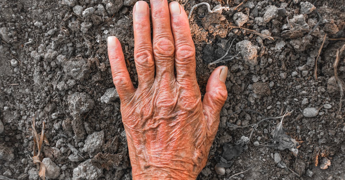 a senior adult hand with wrinkles touching soil symbolizing connection with nature 1