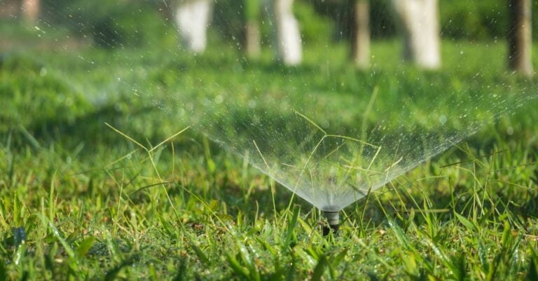 7 Ways to Use Soil Moisture Sensors for Efficient Irrigation That Save Water