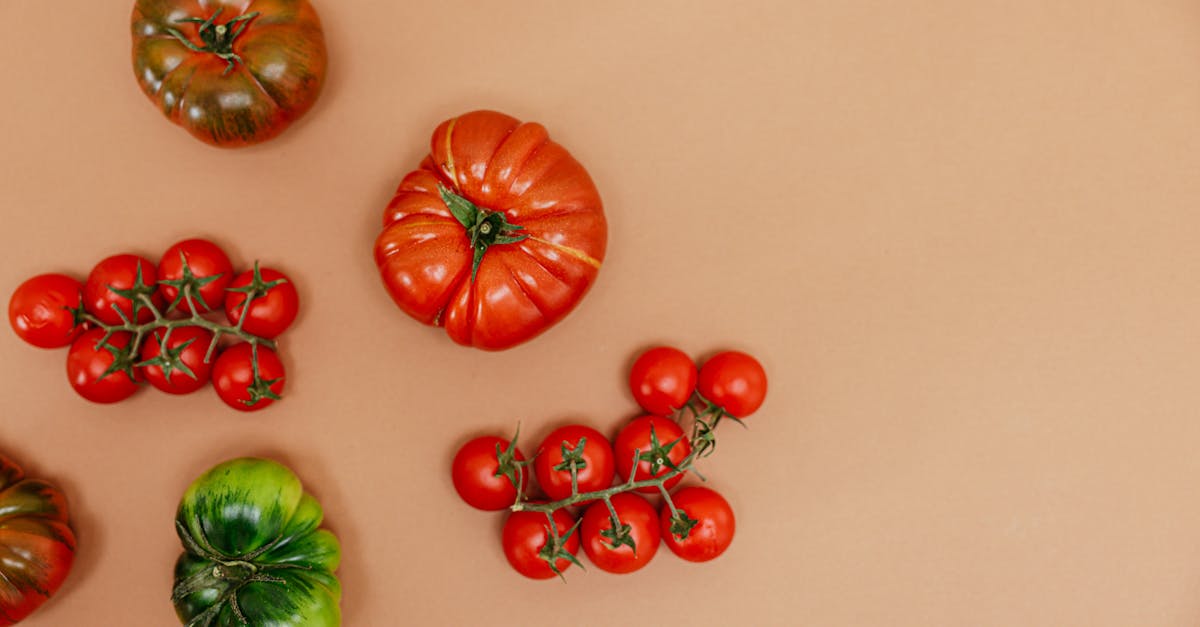 a variety of ripe tomatoes on an orange background perfect for food photography and healthy living 4