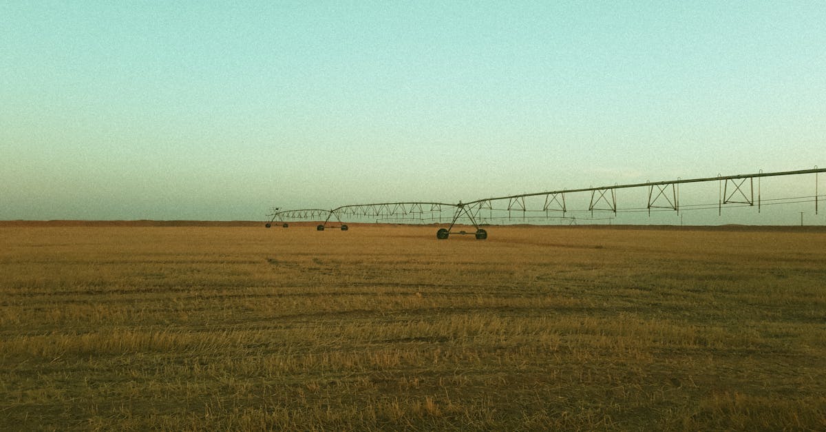 a vast farm field with irrigation system under a warm sunset sky