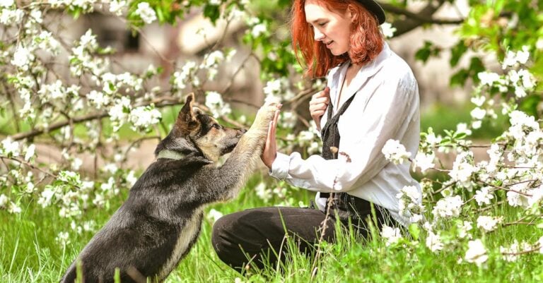 7 Companion Flowers That Repel Insects Naturally Without Chemicals