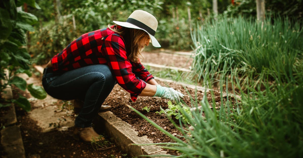 a woman in a hat and plaid shirt gardening outdoors in a lush vegetable patch