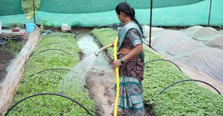 7 Best Greenhouse Irrigation Systems for Water-Wise Growing
