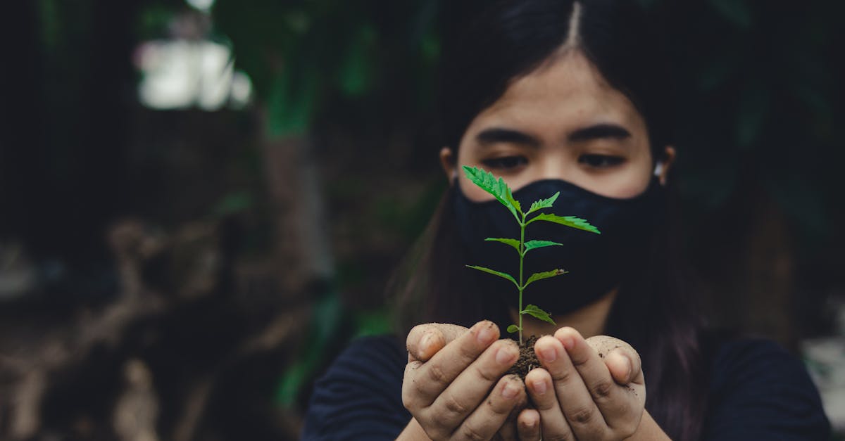 a woman wearing a mask holds a young plant in her soil covered hands symbolizing growth