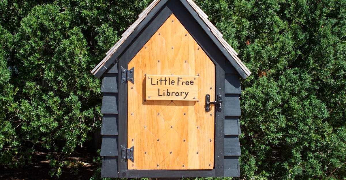 a wooden little free library stands against lush greenery in salem ma offering free books to the c