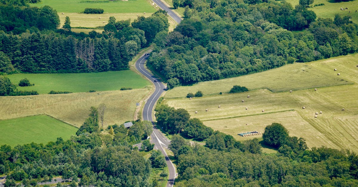 aerial photograph of a winding road through lush green countryside and farmland 2