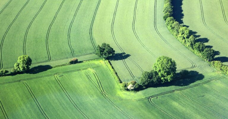 7 Advantages of Temporary Farming Leases That Build Sustainable Success
