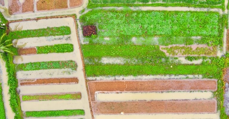 7 Ways to Use Farm Data to Inform Seasonal Menus That Impress Diners