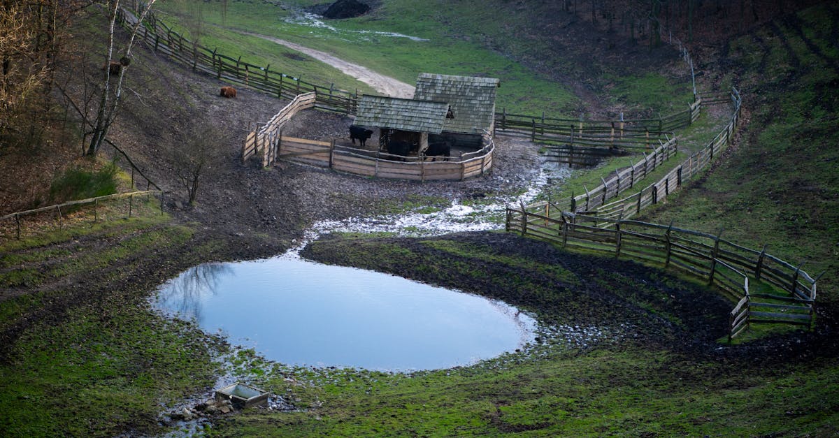 aerial view of a serene countryside farm in tenczynek showcasing a barn cattle and a pond