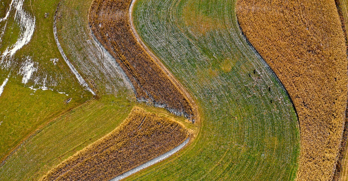 aerial view of curved farmland in altura mn showcasing vibrant seasonal colors and patterns