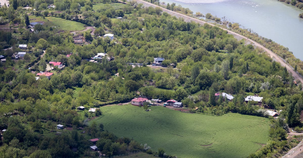aerial view of the verdant landscape and river in palu elaz g turkiye showcasing nature s beauty 1