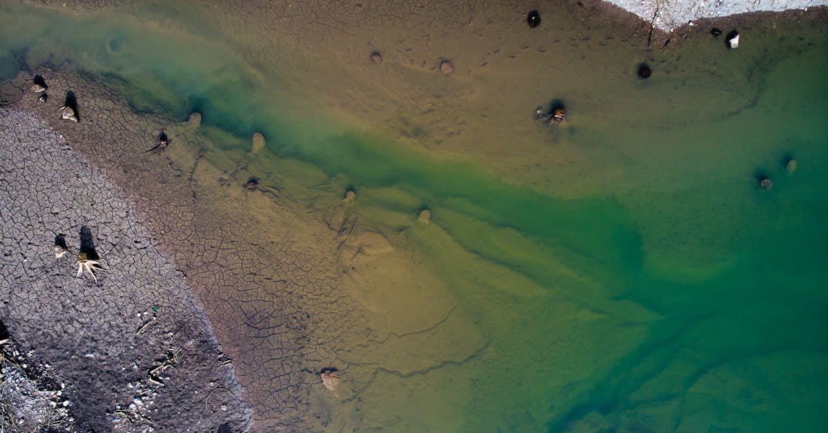 aerial view of vibrant lake shore in frankenhain showcasing unique patterns and colors