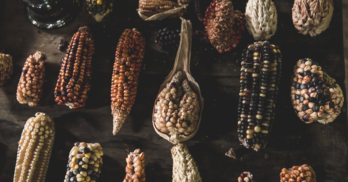 assorted colorful corn varieties displayed on a rustic wooden table showcasing diversity