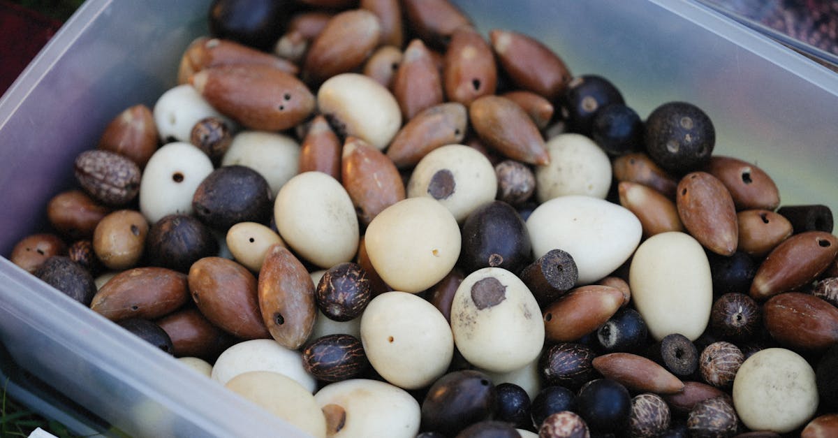 assorted natural beads in a plastic container offering crafting opportunities 1