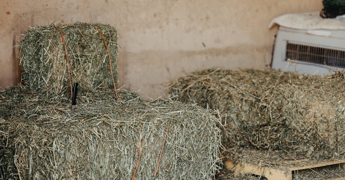 bales of hay stacked on wooden pallets in a rustic indoor farm setting evoking rural life 1